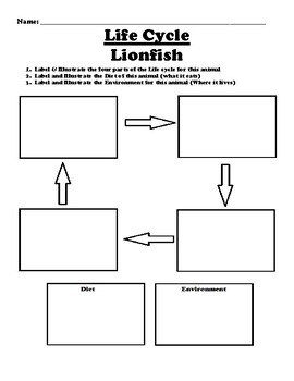 Lionfish "Life Cycle" Worksheet by BAC Education | TPT