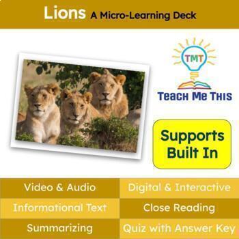 Preview of Lions Informational Text Reading Passage and Activities