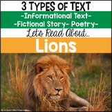 Lions Informational Text, Story & Poem