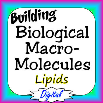 Preview of Lipids Building Biological Macromolecules Digital Interactive Version