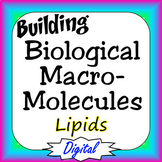 Lipids Building Biological Macromolecules Digital Interact