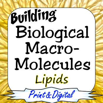 Preview of Lipids Building Biological Macromolecules Print & Digital Bundle