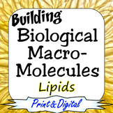 Lipids Building Biological Macromolecules Print & Digital Bundle