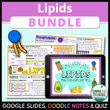Preview of Lipids Bundle - Google Slides Activities, Doodle Notes and Google Forms Quiz