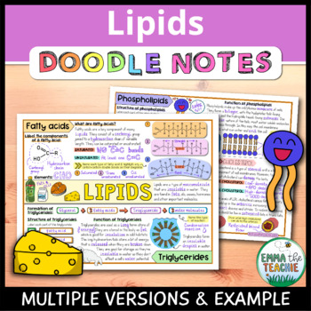 Preview of Lipids Doodle Notes - Macromolecules