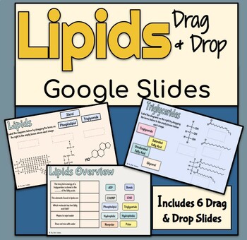 Preview of Lipids Drag & Drop Google Slides