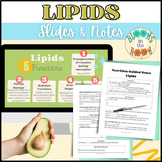 Lipids (Fats) Slides & Guided Notes | Nutrition: Macronutr