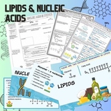 Lipids & Nucleic Acids - Lesson