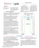 Lipids Quick Notes for AP Biology or Honors/Advanced Biology