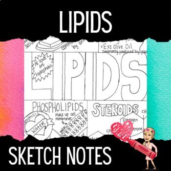 Preview of Lipids Sketch Notes