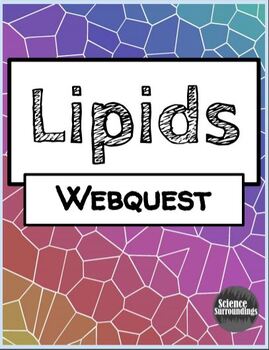 Preview of Lipids Webquest- Macromolecule Investigations.  Editable