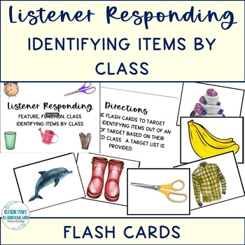 Preview of Listener Responding FFC Identifying Items By Class Flash Cards