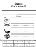 Literacy Footprints Follow up for: Insects (Level A)