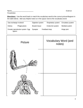 Preview of Middle School Literacy and Science Vocabulary Packet -  Human Body