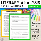 Literary Analysis Essay Writing Activity & Literary Analys