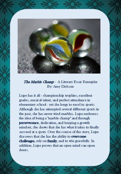 literary essay the marble champ