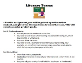 Literary Terms Test Review  Prep with Activities, Project,