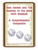 Literature Unit for Cam Jansen and The Babe Ruth Baseball Mystery