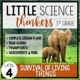 Little 1st Grade SCIENCE Thinkers {UNIT 4: Survival of Liv