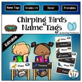 Little Birdies Name Tags and Desk Plates {EDITABLE}