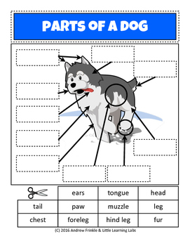 Body Parts Of Dog Worksheet : Body Parts Dog Science Worksheets / As