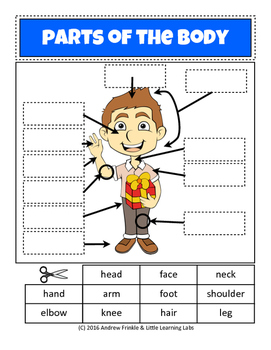 Preview of Little Learning Labs - Parts of the Body - Anatomy Worksheet Set Primary Grades