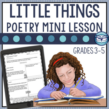 Preview of Little Things by Julie Carney | Poetry Reading Comprehension Lesson