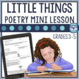 Little Things by Julie Carney | Poetry Reading Comprehensi