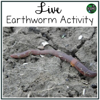 Earthworm activity