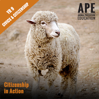 Preview of Live Export | Civics Year 9 | Citizenship in Action
