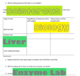 Liver Enzyme Lab with Differentiation