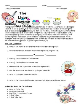 liver and hydrogen peroxide lab report