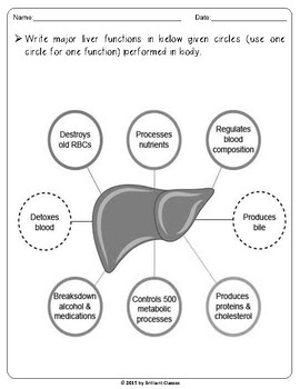 Liver Function Chart