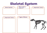 Livestock Anatomy: Skeletal Systems
