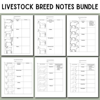 Preview of Livestock Breed Notes Bundle