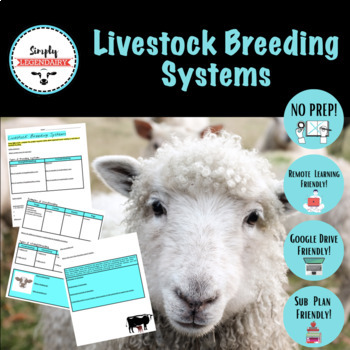 Preview of Livestock Breeding Systems Graphic Organizer & Notes: No-Prep!