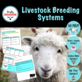 Livestock Breeding Systems Graphic Organizer & Notes: No-Prep!
