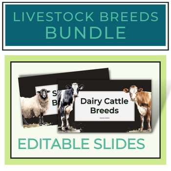Preview of Livestock Breeds Slides Notes + Graphic Organizers (Editable Slides)