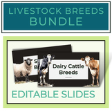 Livestock Breeds Slides Notes + Graphic Organizers (Editab