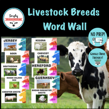 Preview of Livestock Breeds Word Wall- Animal Science, Agriculture Education- No Prep!