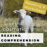 Livestock Castration Critical Thinking Reading Passage and
