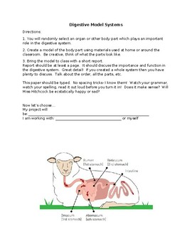 Ruminant Digestive System Teaching Resources | TPT