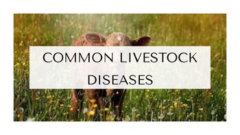 Preview of Livestock Diseases