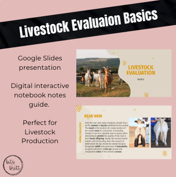 Preview of Livestock Evaluation Basics