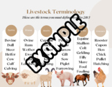 Livestock 'Expert' Project- perfect for middle school!