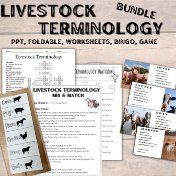 Preview of Livestock Terminology ( Bingo, Crossword, Foldable, Matching, Review Game)