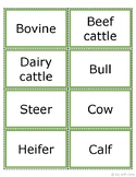 Livestock Terminology Flashcard Printable