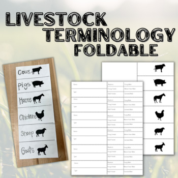 Preview of Livestock Terminology Foldable