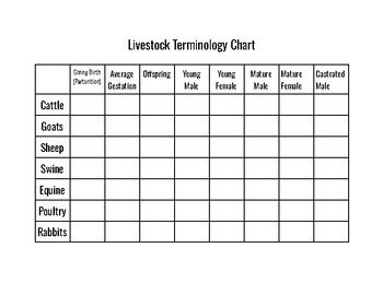 Preview of Livestock Terminology *Freebie*