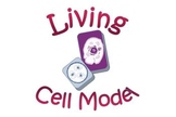 Living Cell Activity